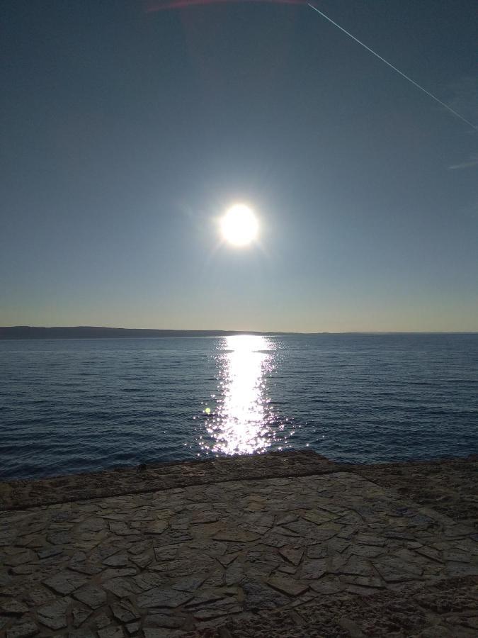 Villa Zora, Starigrad Paklenica, Seline Extérieur photo